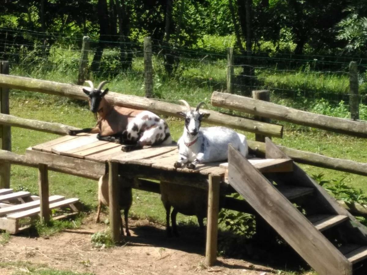 Le Paradis Des Animaux Coublevie Esterno foto